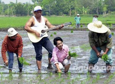 图:阿罗约插秧吉他伴奏 菲律宾女总统回乡-,